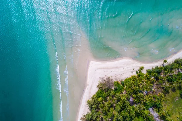 Niesamowite Plaża Tropikalne Morze Spokoju Drzewo Natura Krajobraz Ptaka — Zdjęcie stockowe