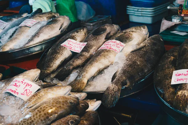 Peixes Marinhos Mercado Gelo Dha Food — Fotografia de Stock