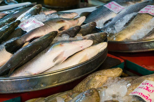 Рыбные Морепродукты Рынке Льду Dha Food — стоковое фото