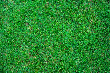 Yeşil doğa çim doku dekorasyon arka plan, futbol sahası