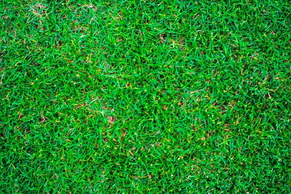 Verde Natureza Grama Textura Decoração Fundo Campo Futebol — Fotografia de Stock