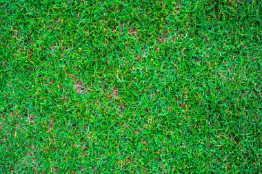 Yeşil doğa çim doku dekorasyon arka plan, futbol sahası