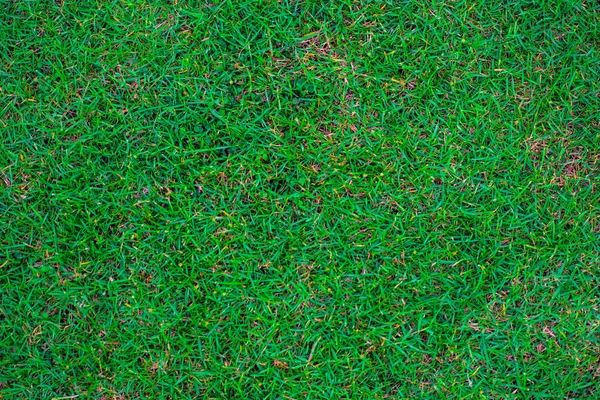 Nature Verte Herbe Texture Décoration Fond Terrain Football — Photo