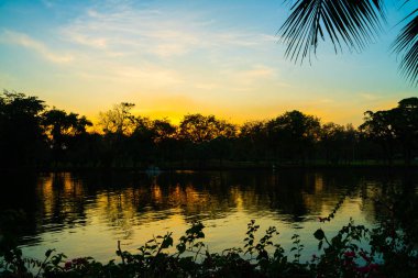 Parkta gün batımı renkli gökyüzü bulut doğa manzara ağaç orman