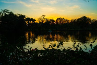 Parkta gün batımı renkli gökyüzü bulut doğa manzara ağaç orman