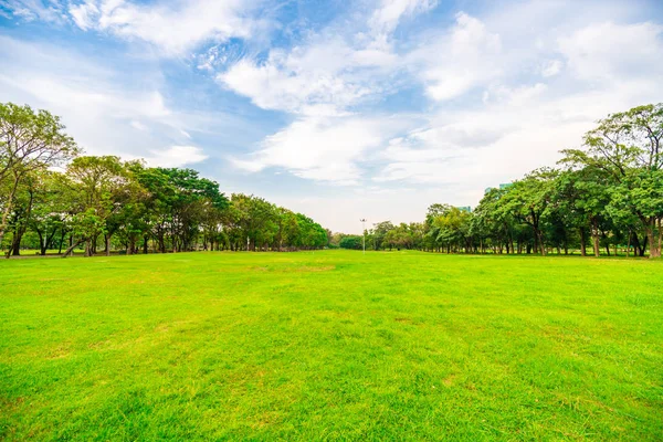 Prato Verde Con Albero Parco Pubblico Paesaggio Naturale — Foto Stock