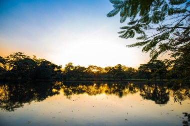 Ağaç, doğa manzara ile şehir halka açık parkta günbatımı