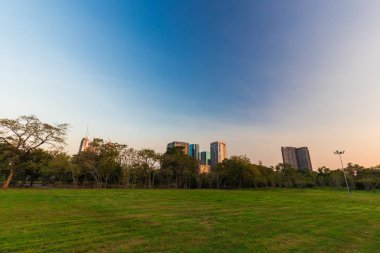 Ağaç, doğa manzara ile şehir halka açık parkta günbatımı