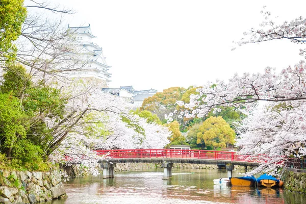 Himeji Castelo Com Flor Cereja Sakura Florescendo Hugo Japão — Fotografia de Stock