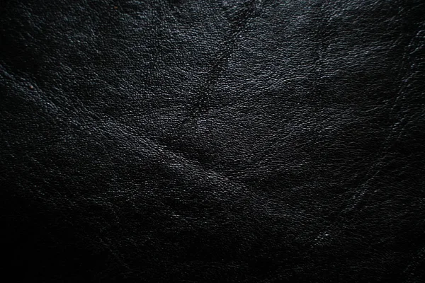 Originální Staré Černá Kráva Kožené Čalounění Kůže Textury — Stock fotografie