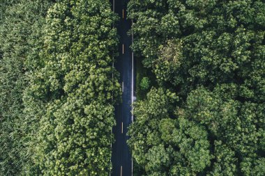 Havadan görünümü yol tropikal yeşil orman içinde doğada taşıma
