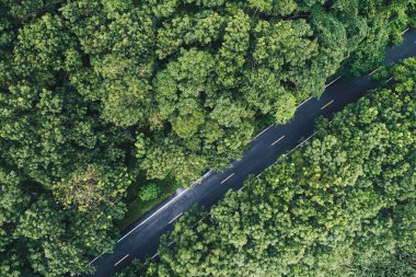 Havadan görünümü yol tropikal yeşil orman içinde doğada taşıma