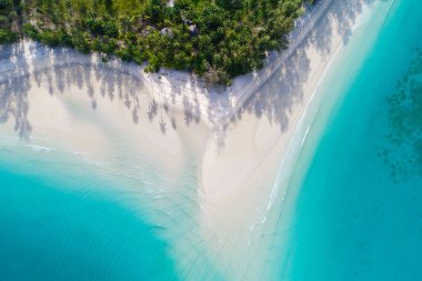 Hindistan cevizi hurma ağacı tropik ada ile havadan görünümü mavi deniz beyaz kum plaj