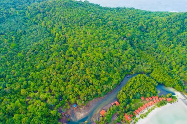Adada tropikal yeşil ormanın havadan görünümü