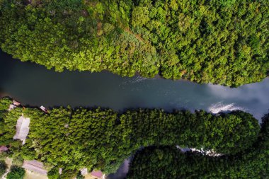 Tropik yağmur ormanı mangrov nehir ve yeşil ağaç üzerinde Adası havadan görünümü