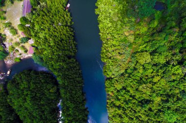 Tropik yağmur ormanı mangrov nehir ve yeşil ağaç üzerinde Adası havadan görünümü