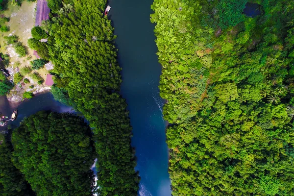 Tropik yağmur ormanı mangrov nehir ve yeşil ağaç üzerinde Adası havadan görünümü