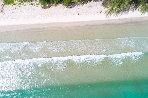 Fantastiska serenity tropiska havet stranden med träd natur landskap — Stockfoto