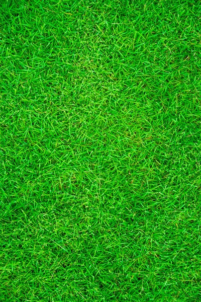 녹색 신선한 잔디 질감 — 스톡 사진