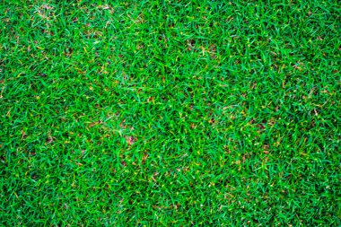 Yeşil Doğa Çim doku dekorasyon arka plan