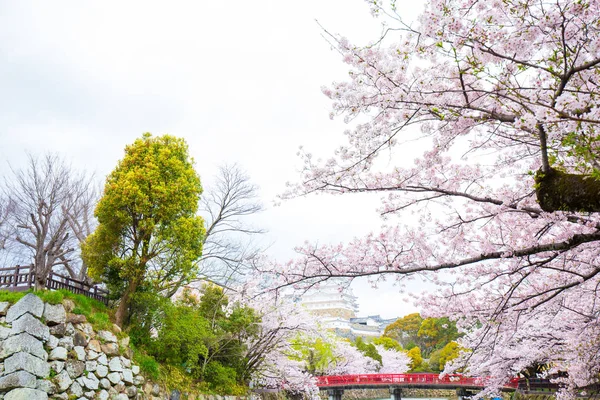 Himeji castelo com flor de cereja Sakura florescendo em Hugo — Fotografia de Stock