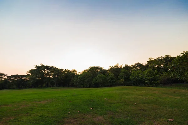 Solnedgång i stadens offentliga Park med träd — Stockfoto