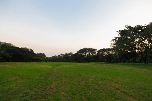 Solnedgång i stadens offentliga Park med träd — Stockfoto