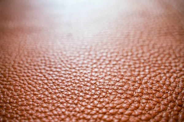 Tan barna bőr szelektív fókusz közelről fény — Stock Fotó
