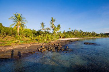 Doğa landcape deniz kıyısı arka plan