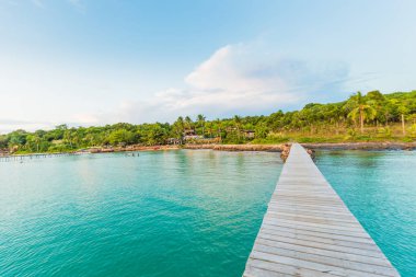 Doğa landcape deniz kıyısı arka plan