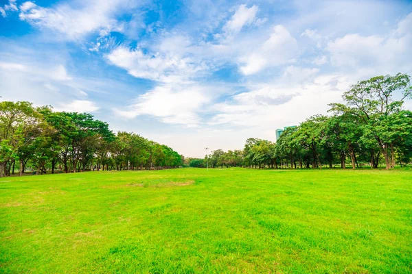 Zelený polní městský veřejný park s řadou stromů a modrou oblohou — Stock fotografie
