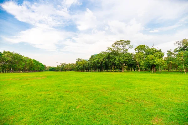 Городской парк Green Field с рядами деревьев и голубым небом — стоковое фото