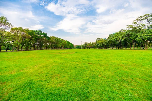 Campo verde cidade parque público com linha de árvore e céu azul — Fotografia de Stock