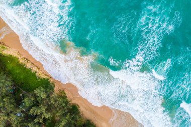 Dalga ve yeşil ağaç ile Seabeach havadan görünümü