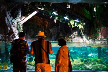Tayland, Bangkok - Şubat 23, 2019: Siamparagon alışveriş merkezinde Sea Life Bangkok Ocean World Aquarium zevk Turist