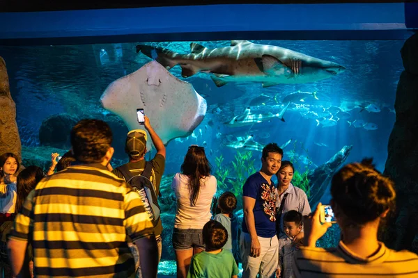 Thailand Bangkok Febuary 2019 Turist Njuter Sea Life Bangkok Ocean — Stockfoto