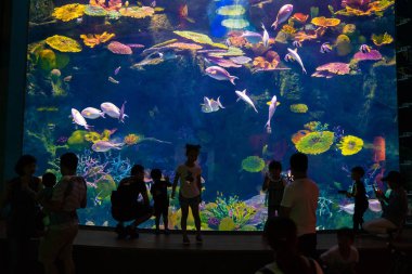Tayland, Bangkok - Şubat 23, 2019: Siamparagon alışveriş merkezinde Sea Life Bangkok Ocean World Aquarium zevk Turist