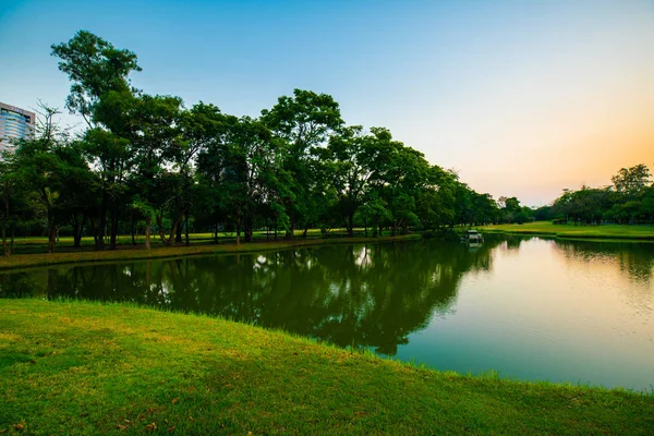 Pôr do sol parque verde com prado e árvore — Fotografia de Stock