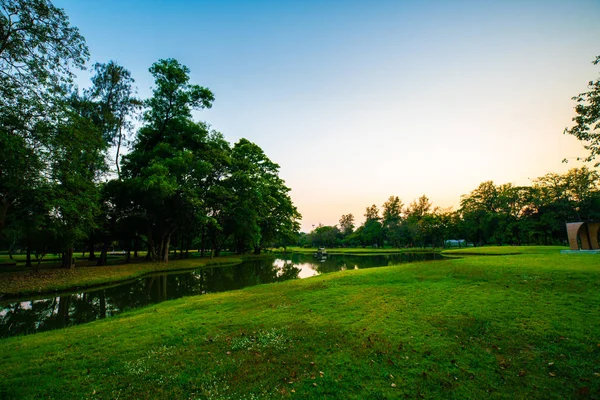 绿色公园日落与草地和树木 — 图库照片