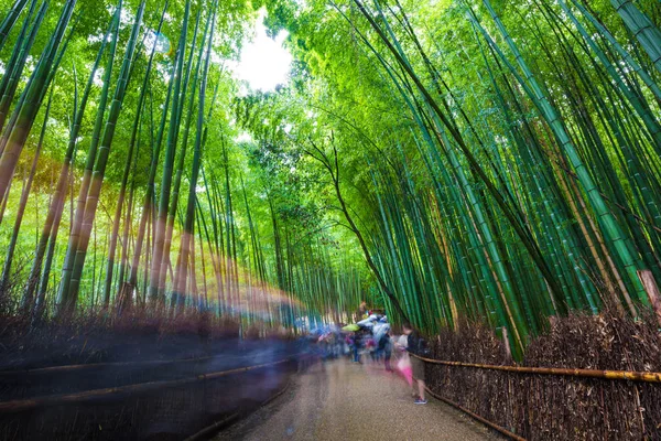 Fond de forêt de bambous verts à Arashiyama Kyoto — Photo