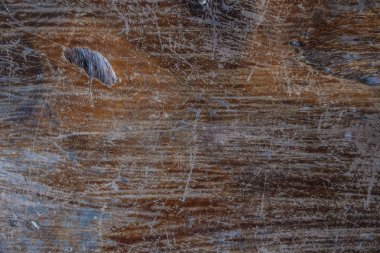 Ahşap sanat dokusu grunge arkaplanı