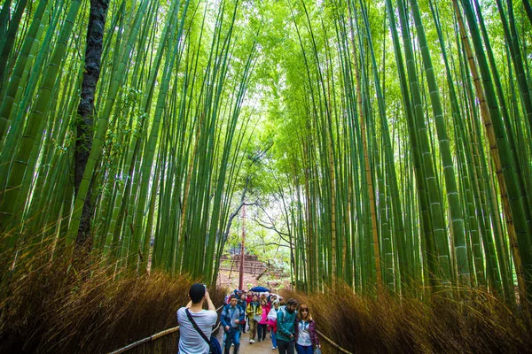 Kyoto Japon Avril 2017 Voyage Touristique Dans Forêt Bambous Arashiyama — Photo