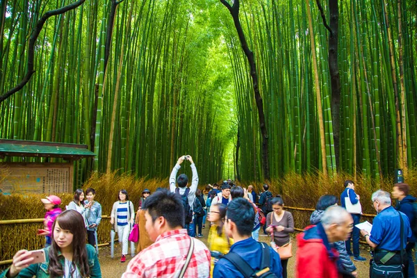 Kioto Japonii Kwietnia 2017 Turysta Podróżujących Bamboo Forest Arashiyama Korzystających — Zdjęcie stockowe