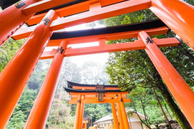 Fushimi inari tapınağında kırmızı tori kapısı