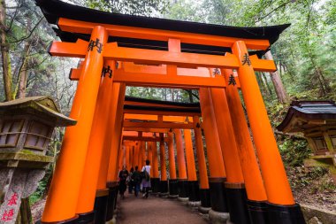 Fushimi inari tapınağında kırmızı tori kapısı
