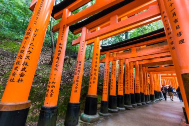 Fushimi inari tapınağında kırmızı tori kapısı