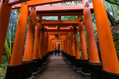 Fushimi inari tapınağında kırmızı tori kapısı