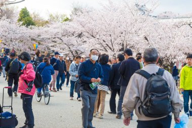 Himeji, Hyogo, Japonya - 9 Nisan 2017: Himeji Castle Park'ta tamamen çiçek açan Pembe Sakura ağaçları ve yaprakların altında piknik yapanlar. Japonya'da seyahat mevsimleri.