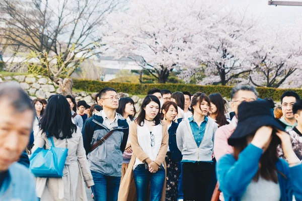 Himeji Hyogo Japan April 2017 Eine Gruppe Von Menschen Picknickt — Stockfoto