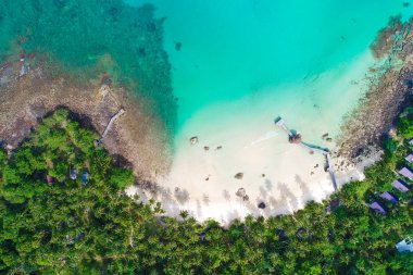 Havadan görünüm deniz adası plaj yeşil hindistan cevizi ağacı